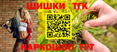 МДПВ Ливны