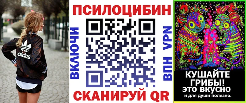 сайты даркнета как зайти  Калач-на-Дону  Галлюциногенные грибы GOLDEN TEACHER  гидра ссылки 